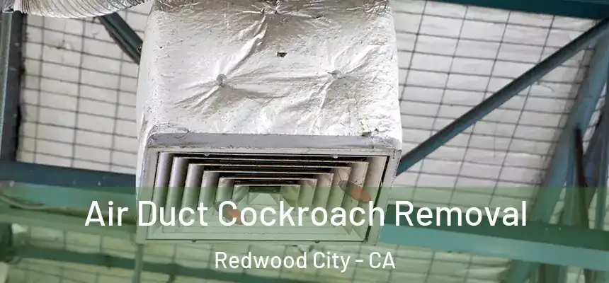Air Duct Cockroach Removal Redwood City - CA