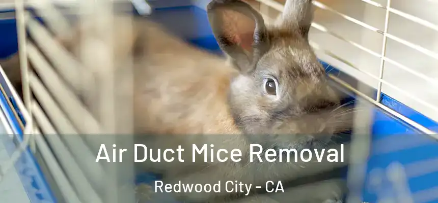 Air Duct Mice Removal Redwood City - CA