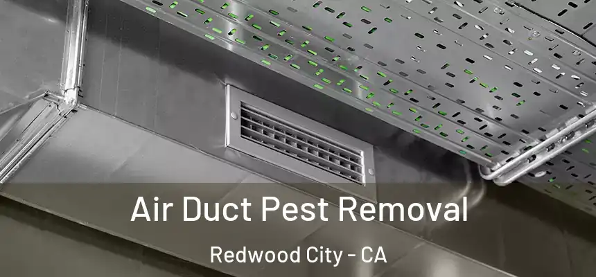 Air Duct Pest Removal Redwood City - CA