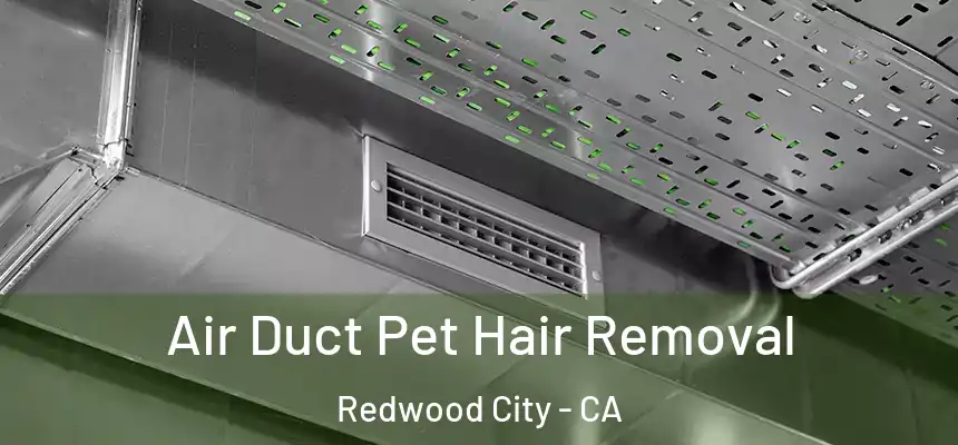 Air Duct Pet Hair Removal Redwood City - CA