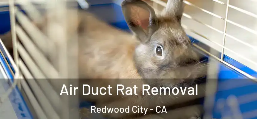 Air Duct Rat Removal Redwood City - CA