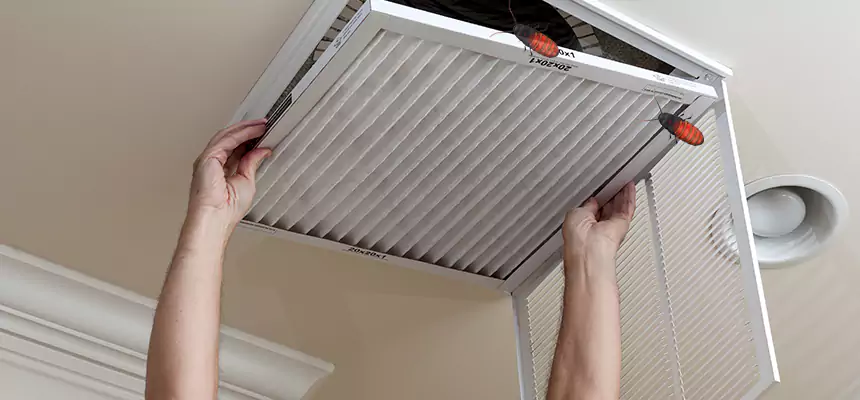 Preventive Cockroach-Proofing for Ducts in Redwood City