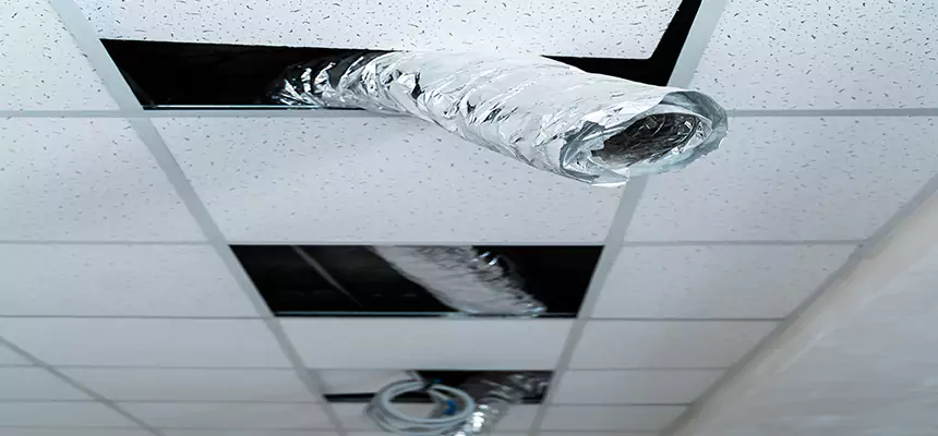 Affordable HVAC Sanitizing After Pest Removal in Redwood City