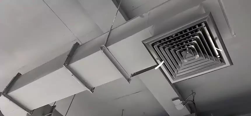 Our Pest Removal From Ducts Services in Redwood City, CA