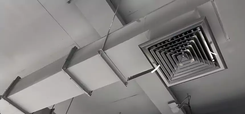 Our Rodent Droppings In Vents Services in Redwood City, CA