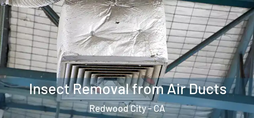 Insect Removal from Air Ducts Redwood City - CA