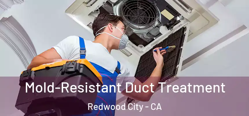 Mold-Resistant Duct Treatment Redwood City - CA