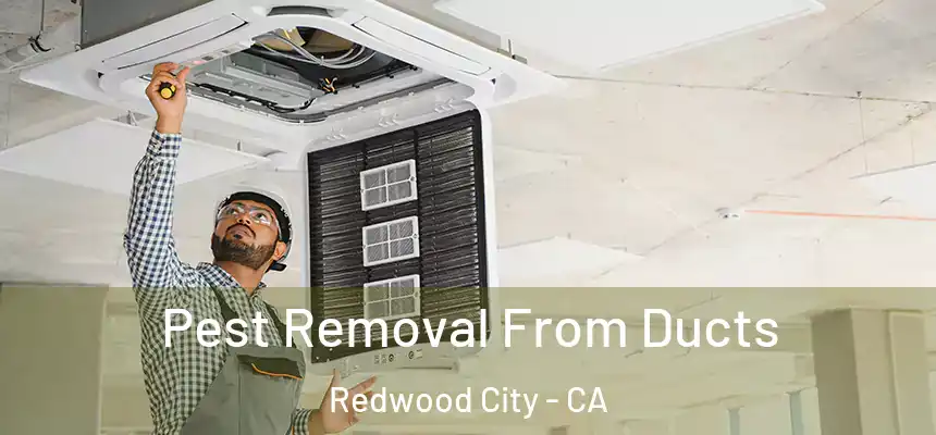 Pest Removal From Ducts Redwood City - CA