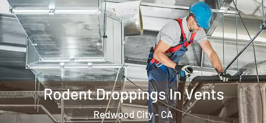 Rodent Droppings In Vents Redwood City - CA