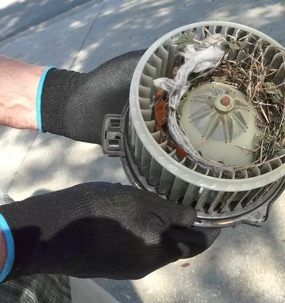 About Air Duct Rat Removal in Redwood City, CA