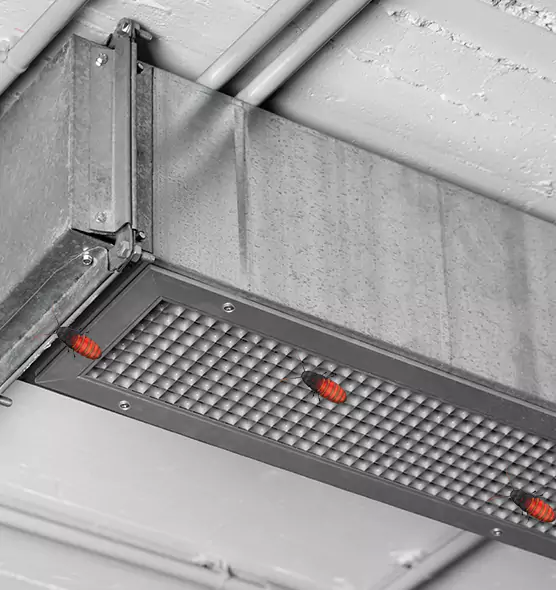 Affordable Insect Removal from Air Ducts in Redwood City, CA