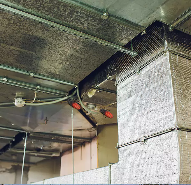 Why Homeowners & Businesses Trust Us in Redwood City, CA?