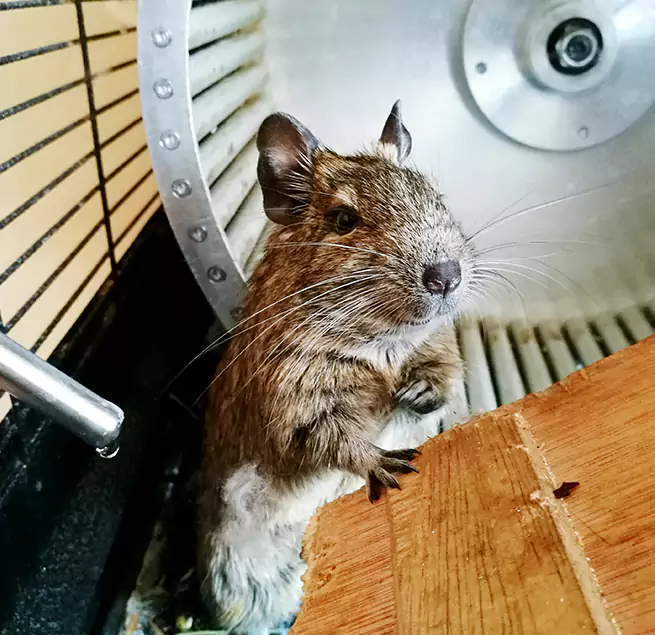 Why Homeowners & Businesses Trust Us Redwood City, CA?