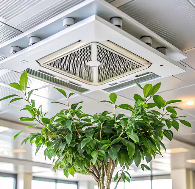 Why Homeowners & Businesses Trust Us in Redwood City, CA